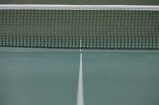 开云下载-英国乒乓球队绝地反击波兰乒乓球队，水谷隼制霸全场