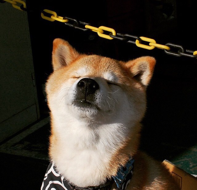 开云下载-教科书级表现！维尼修斯如何用一场比赛定义现代边锋的终极形态