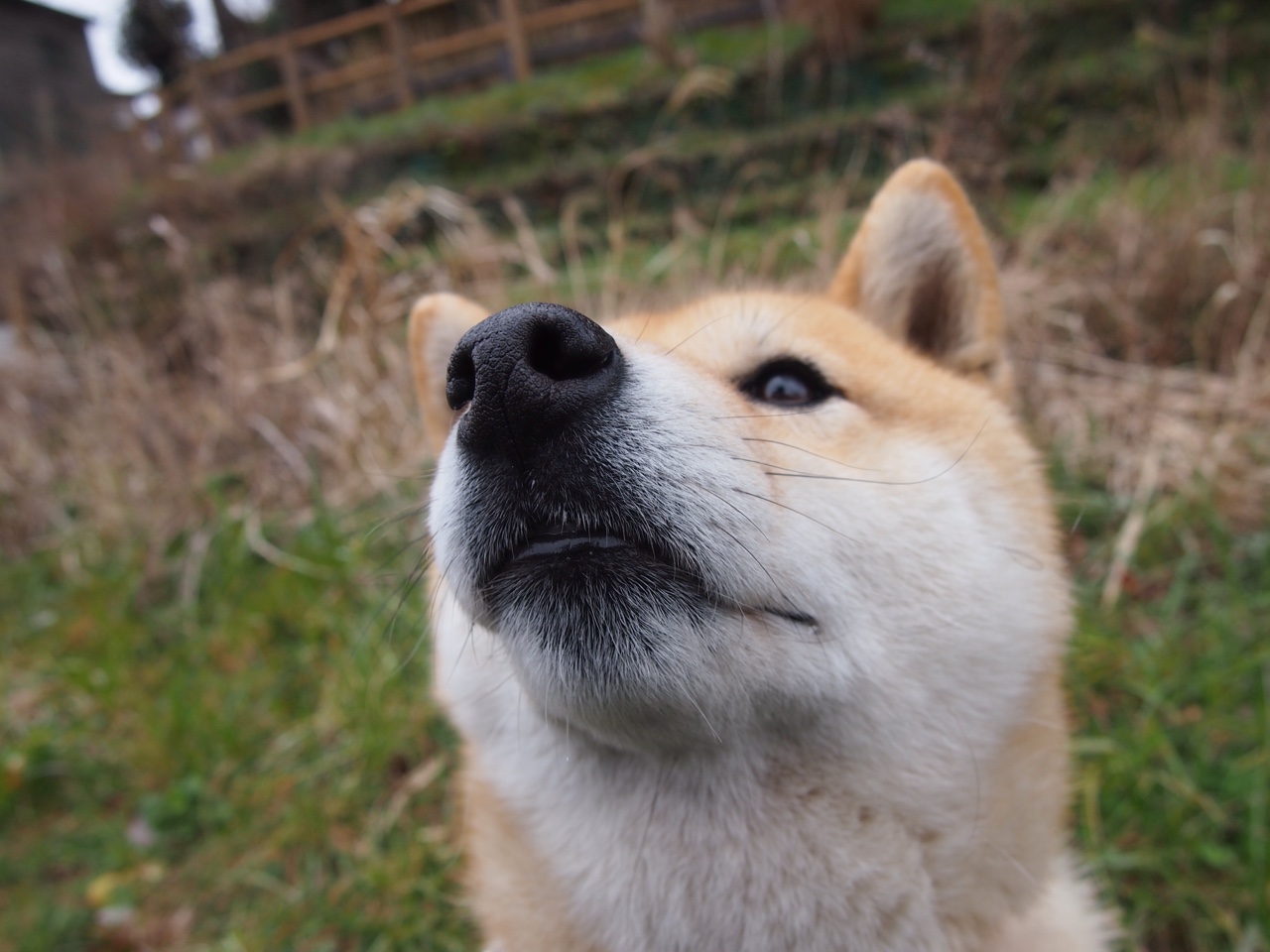 教科书级表现！维尼修斯如何用一场比赛定义现代边锋的终极形态